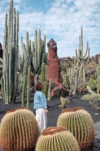 jardin de cactus lanzarote